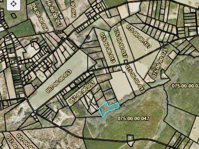 Land for sale in Barnwell, South Carolina