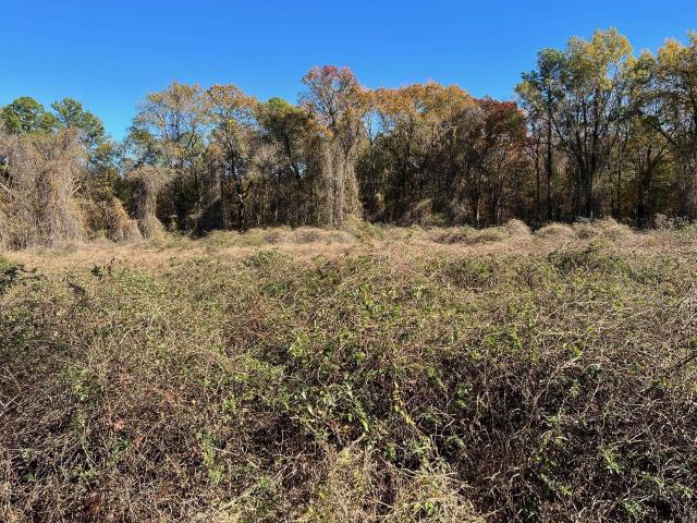 Land for sale in Pine Bluff
