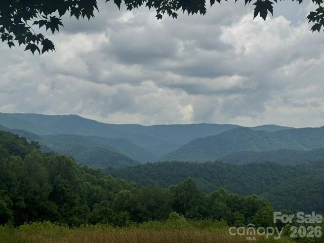 Land for sale in Marshall, North Carolina