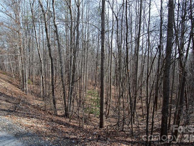 Land for sale in North Carolina