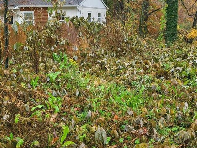 Land for sale in Atlanta, Georgia