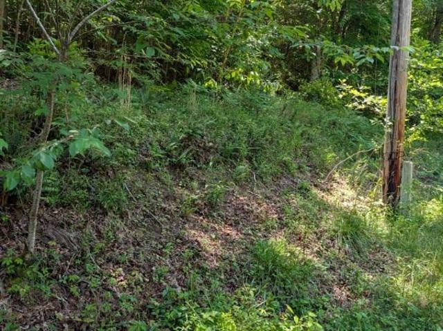 Land for sale in Murphy, North Carolina