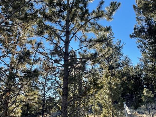 Land for sale in Hartsel, Park County