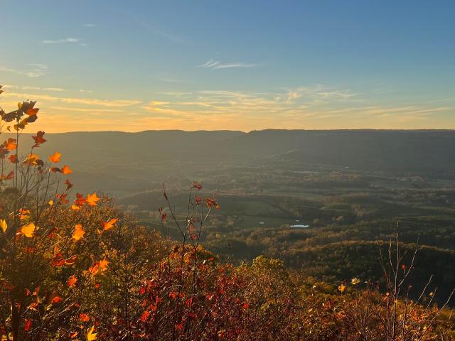 Land for sale in Menlo, Georgia