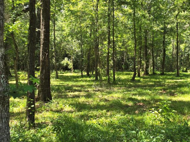 Land for sale in Coldspring, Texas
