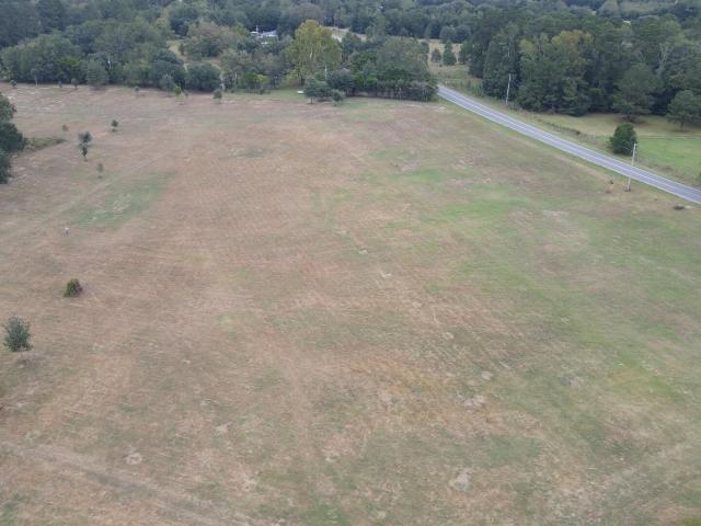 Land for sale in Elloree, South Carolina