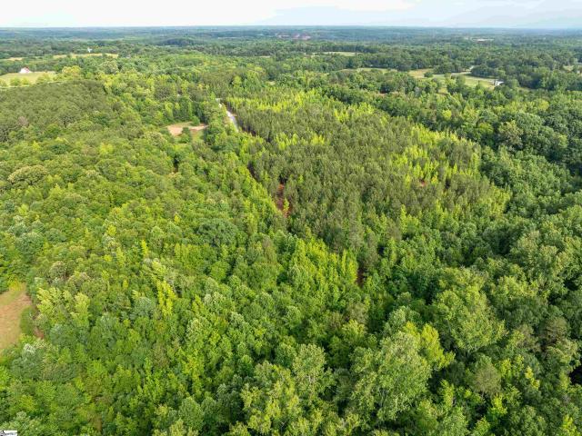 Land for sale in Fountain Inn, South Carolina