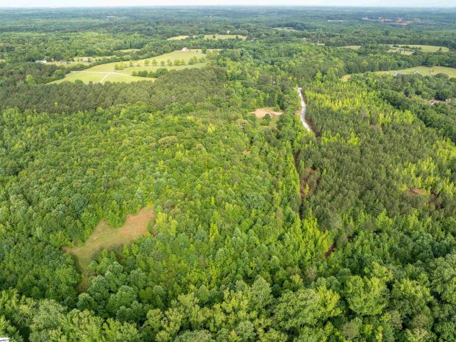 Land for sale in Fountain Inn, South Carolina