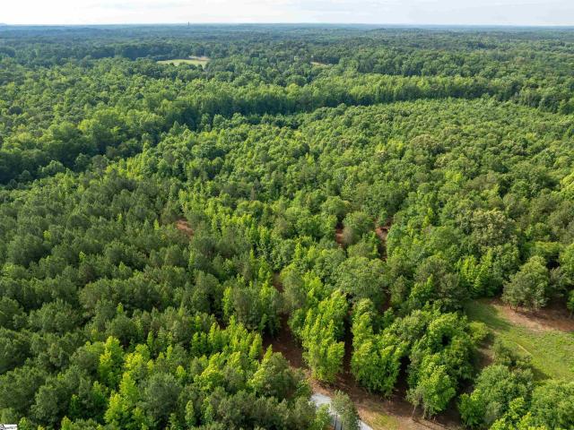 Land for sale in Fountain Inn, South Carolina