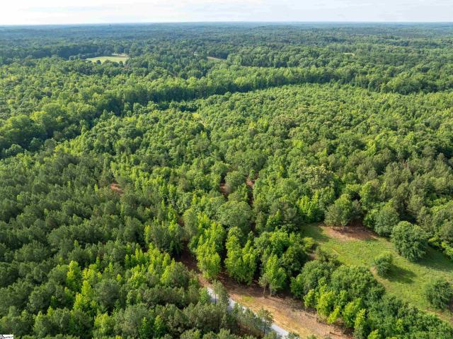 Land for sale in Fountain Inn, South Carolina