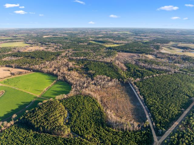 Land for sale in Millen, Georgia