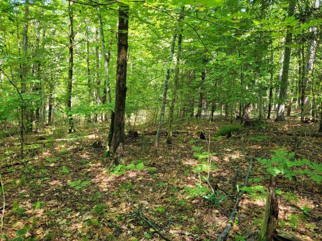 Land for sale in New Hampshire
