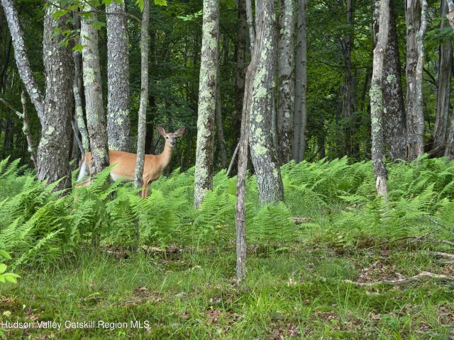 Land for sale in Claryville, New York