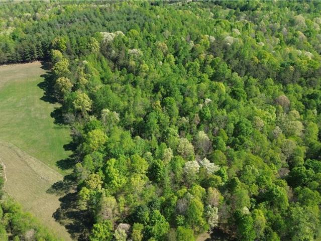 Land for sale in Stokes, North Carolina