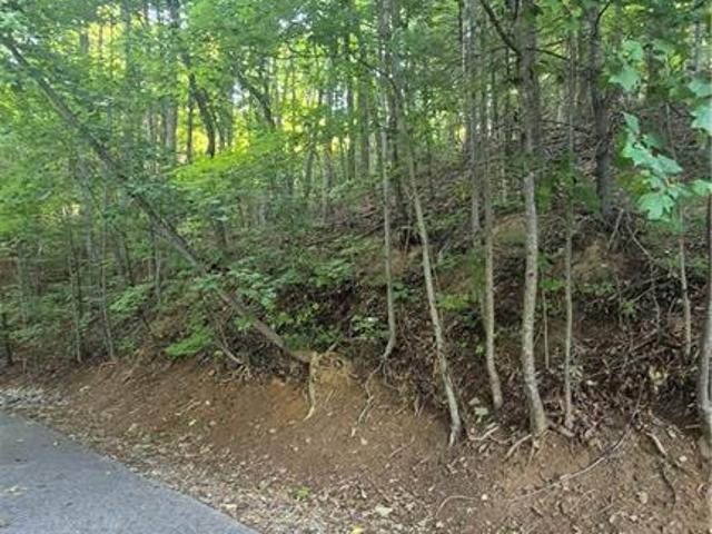 Land for sale in Wilkesboro, North Carolina