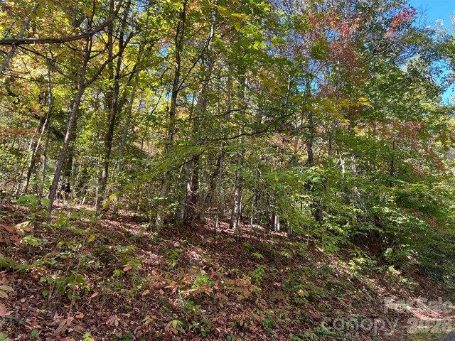 Land for sale in Sylva, Jackson County
