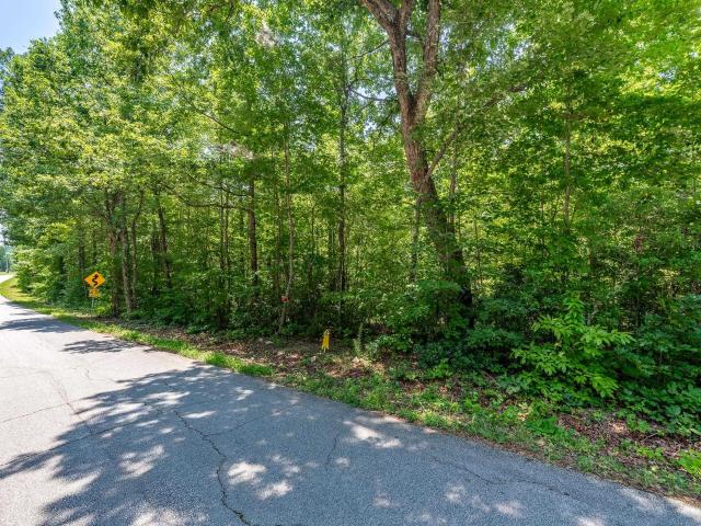 Land for sale in Travelers Rest, South Carolina