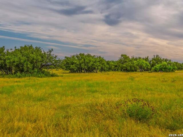 Land for sale in Menard, Texas