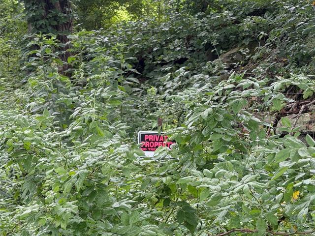 Land for sale in Clyde, Haywood County