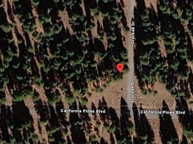 Land for sale in Modoc, California