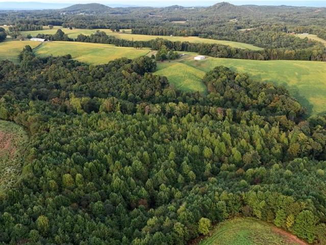 Land for sale in Dobson, Surry County