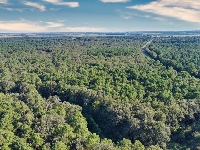 Land for sale in Anahuac, Chambers County