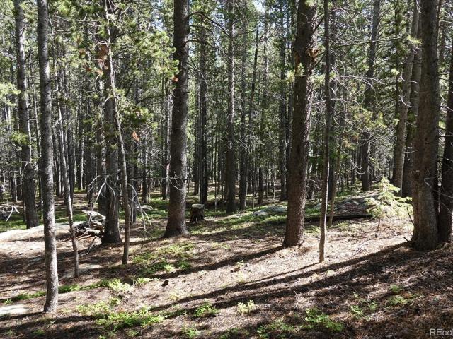 Land for sale in Clear Creek, Colorado