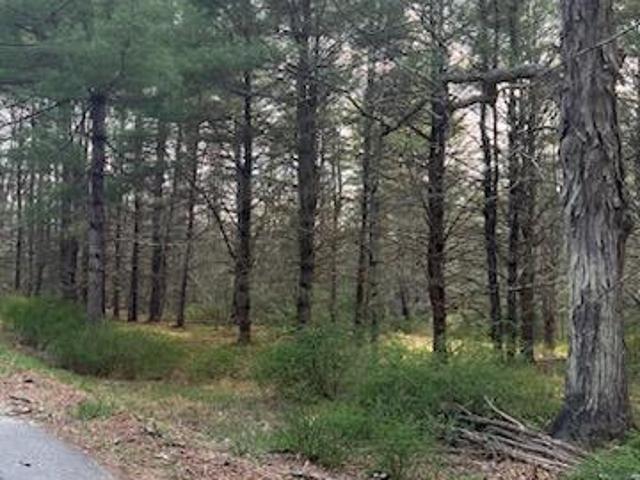 Land for sale in Wurtsboro, New York