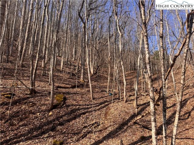 Land for sale in Avery, North Carolina