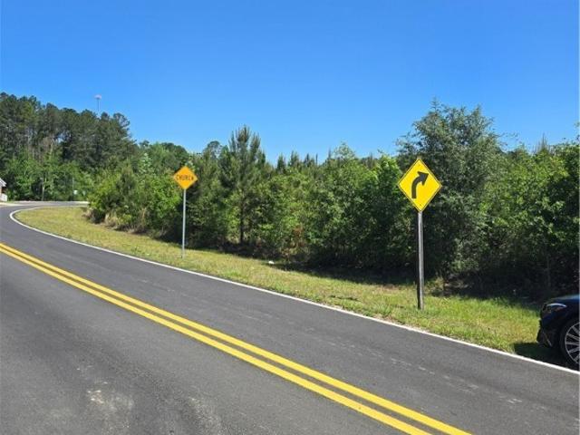 Land for sale in Box Springs, Georgia