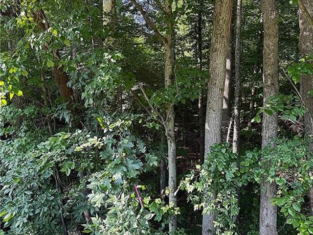 Land for sale in Mad River, North Carolina