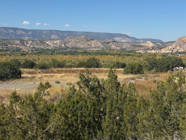 Land for sale in New Mexico