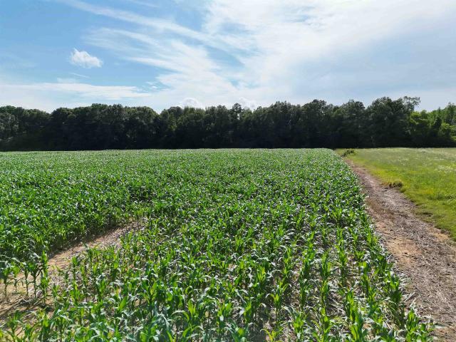 Land for sale in Tennessee