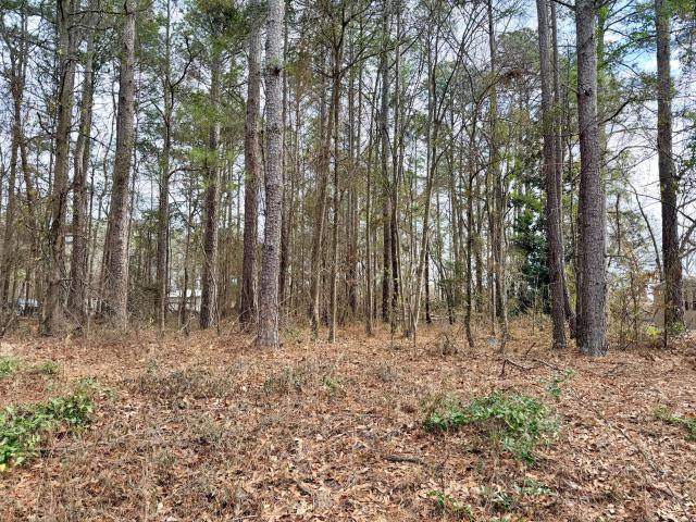 Land for sale in Aiken, South Carolina