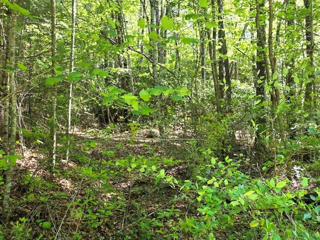 Land for sale in Graham, North Carolina