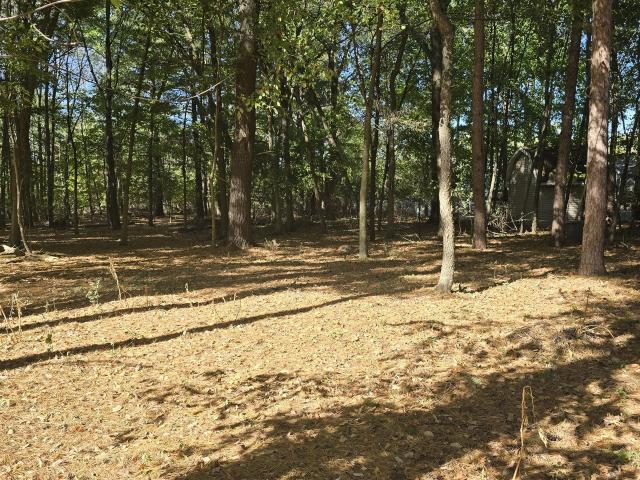 Land for sale in Gratiot, Michigan