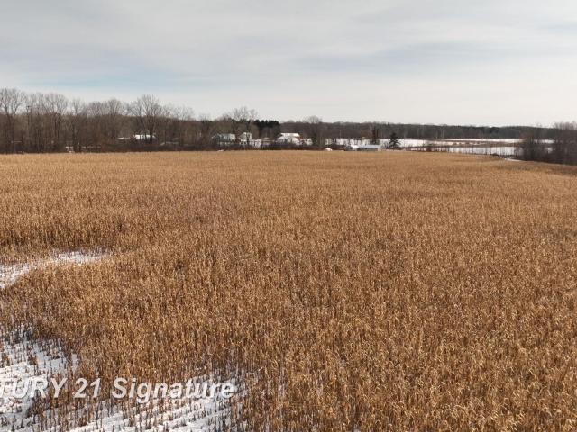 Land for sale in Clio, Michigan