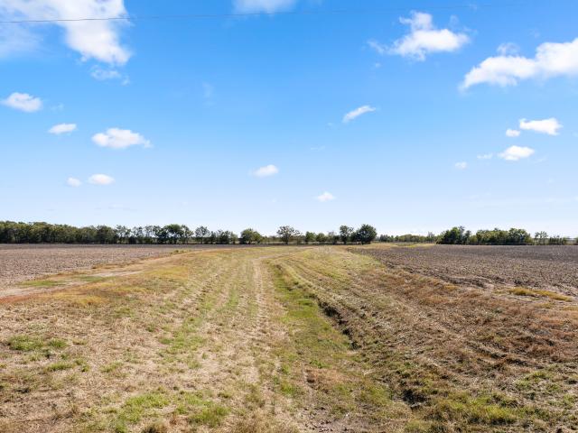 Land for sale in Guy, Texas
