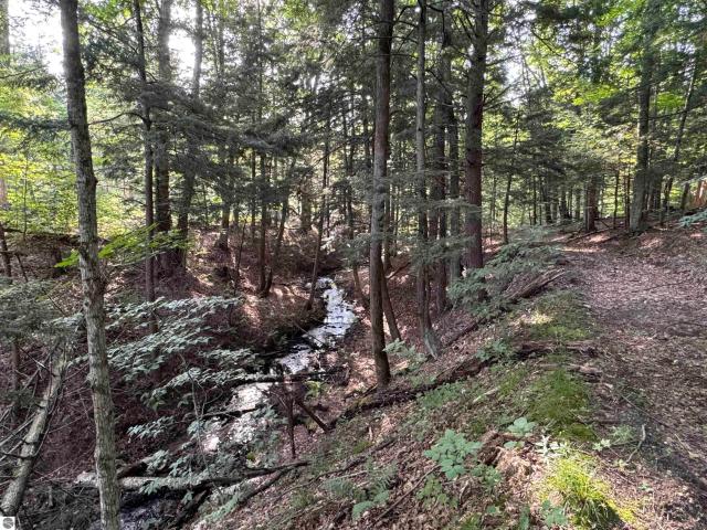 Land for sale in Michigan