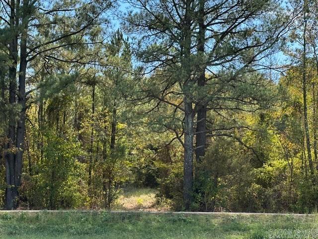 Land for sale in Morrilton, Conway County