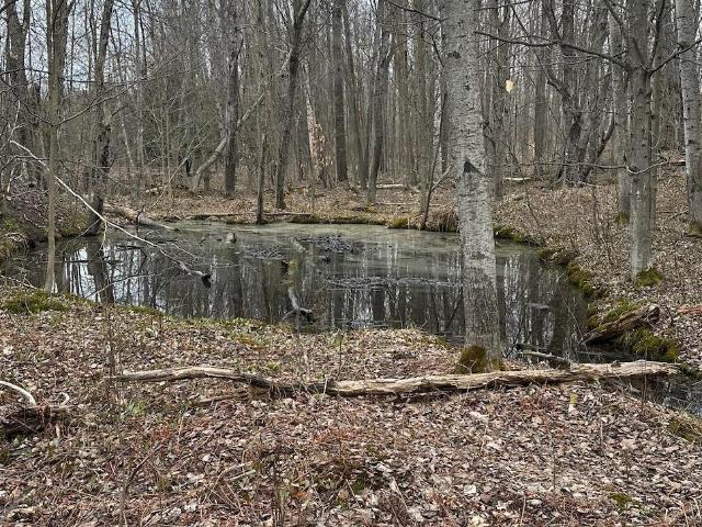 Land for sale in Michigan