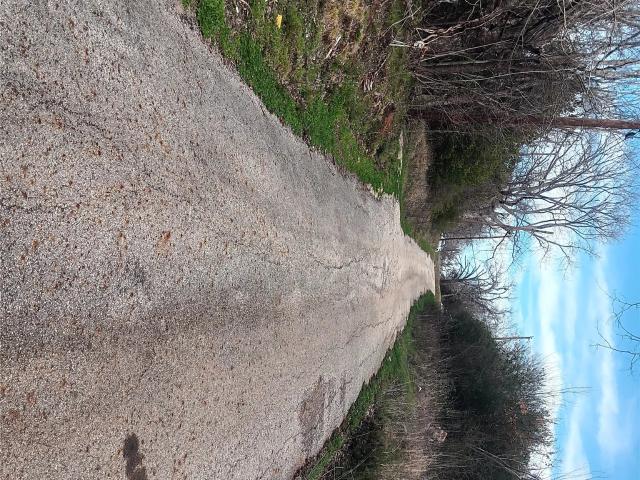Land for sale in Palestine, Texas