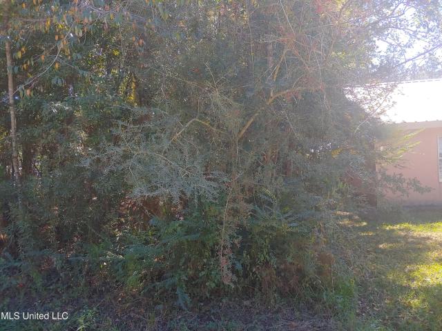 Land for sale in Hancock County, Mississippi
