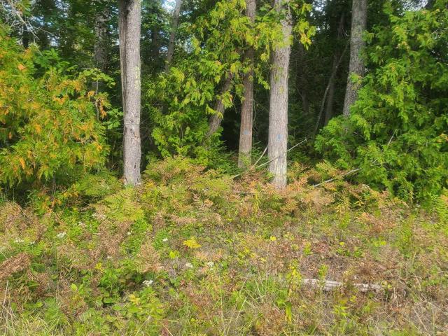 Land for sale in Greenbush Township, Alcona County
