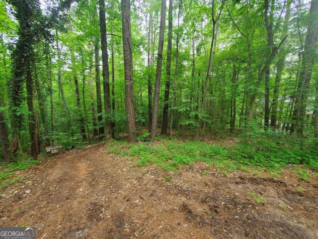 Land for sale in Monticello, Georgia