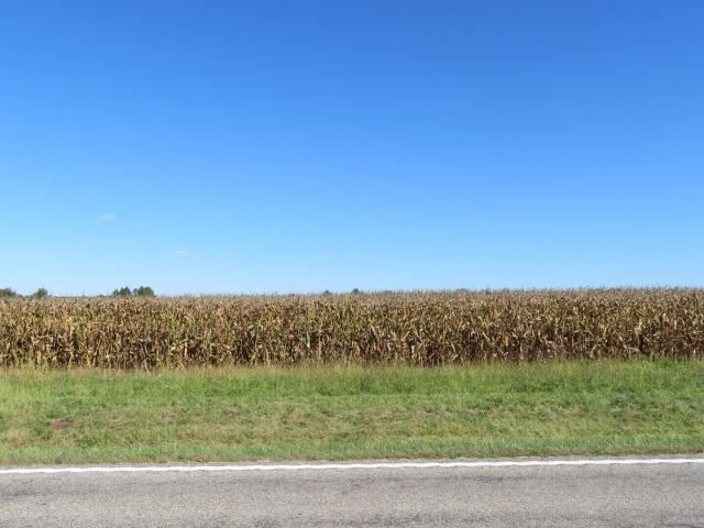Land for sale in Crawfordsville, Indiana