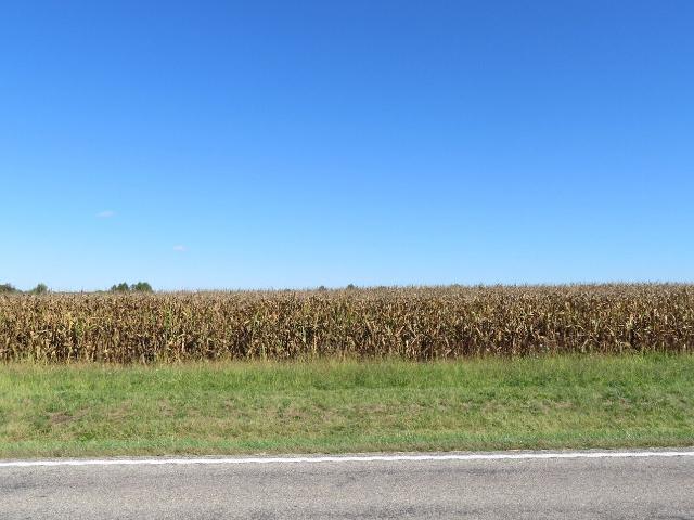 Ranch for sale in Crawfordsville, Indiana