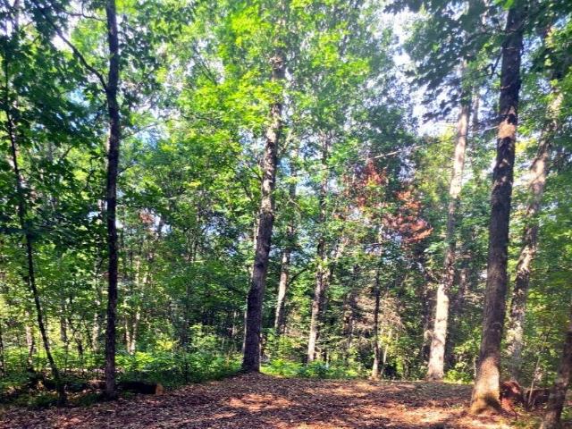 Land for sale in Michigan