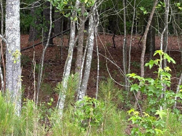 Land for sale in Salley, Aiken County