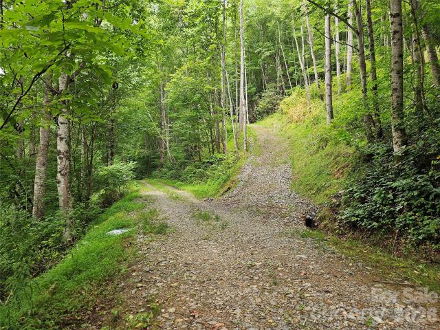 Land for sale in Haywood, North Carolina